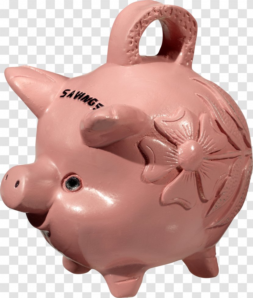 Domestic Pig Piggy Bank Clip Art Transparent PNG