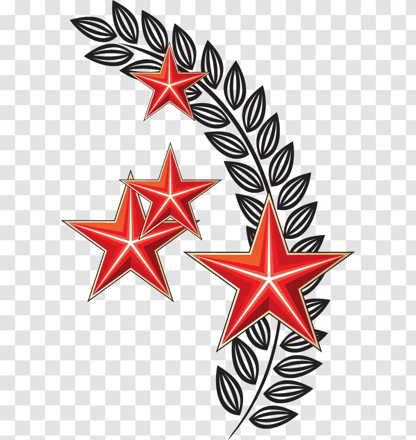 Russia Victory Day Holiday Drawing Medal - Country - Vector Hand-painted Pentacle Wheat Transparent PNG