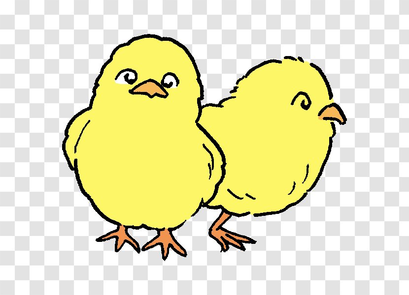 Beak Fauna Wildlife Chicken As Food Clip Art - Yellow - Animal Train Transparent PNG
