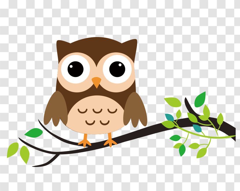 Owl Drawing Cartoon Clip Art - Bird Transparent PNG