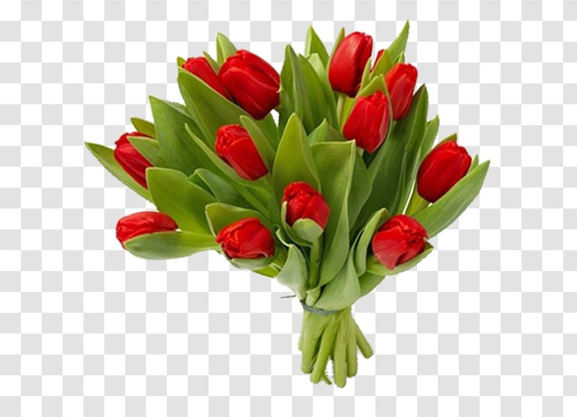 Tulip Floral Design Cut Flowers Flower Bouquet Transparent PNG