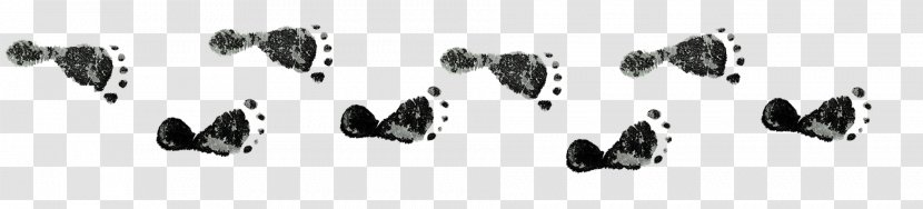 Footprints Shoe Information - Sole Transparent PNG
