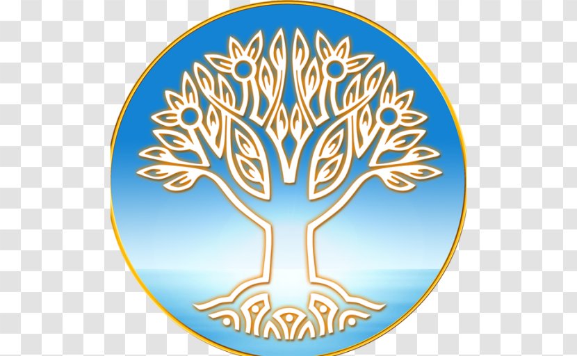 Transcendental Meditation Movement David Lynch Foundation Maharishi Peace Palace - Logo Transparent PNG