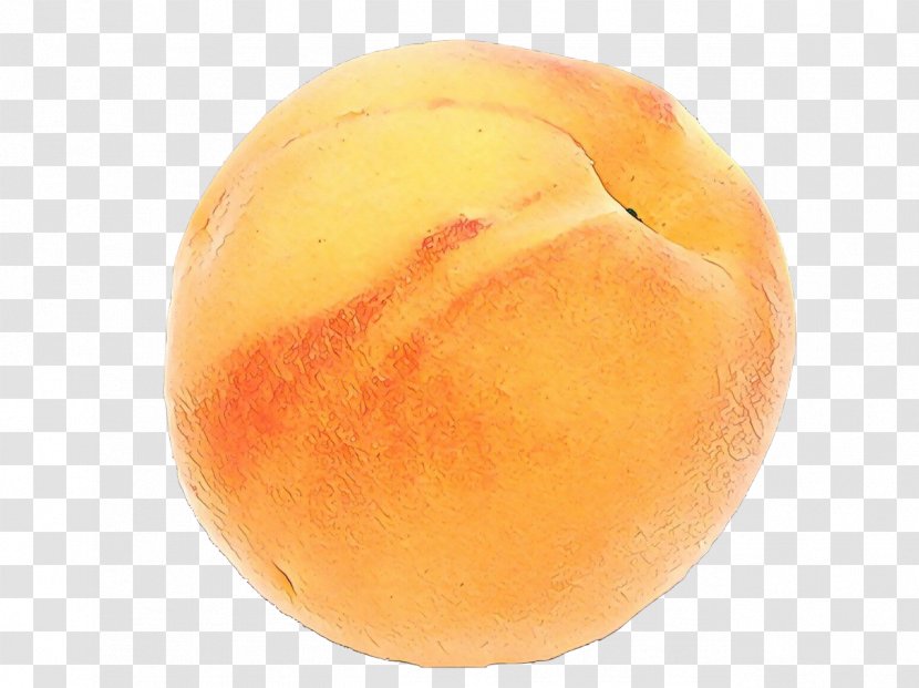 Fruit Cartoon - Apricot - Plant Transparent PNG