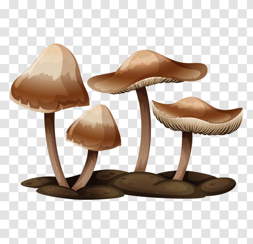 Edible Mushroom Poisoning Illustration - Mushroom,fungus Transparent PNG