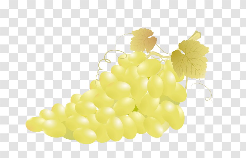 Common Grape Vine Fruit Clip Art - A Bunch Of Grapes Transparent PNG