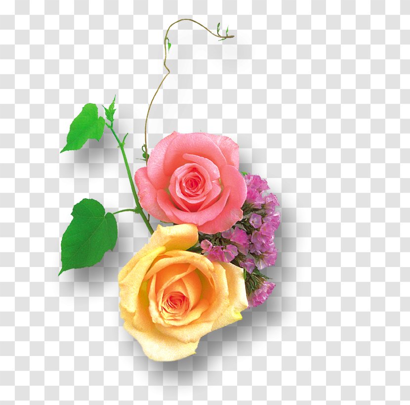 Garden Roses Centifolia Cut Flowers - Pink - Flower Transparent PNG