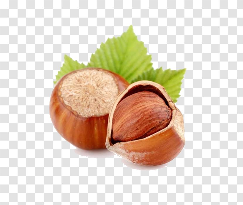 Hazelnut Flavor Oil Food - Chocolate - Nuts Package Transparent PNG
