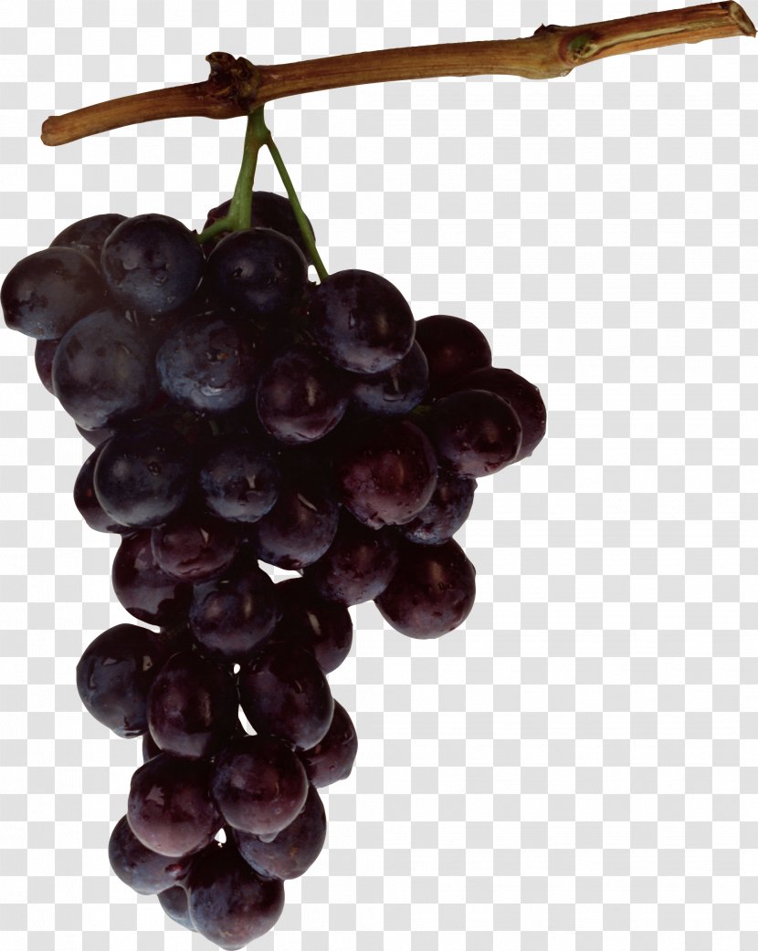 Grapevines Kyoho Food Fruit - Flowering Plant - Grapes Transparent PNG