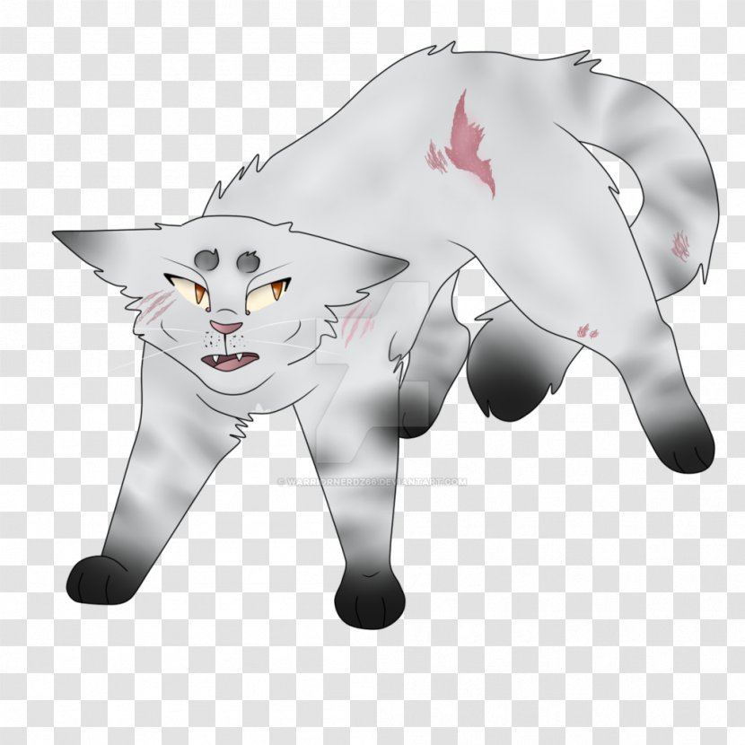 Whiskers Cat Dog Canidae Mammal - Puma Transparent PNG