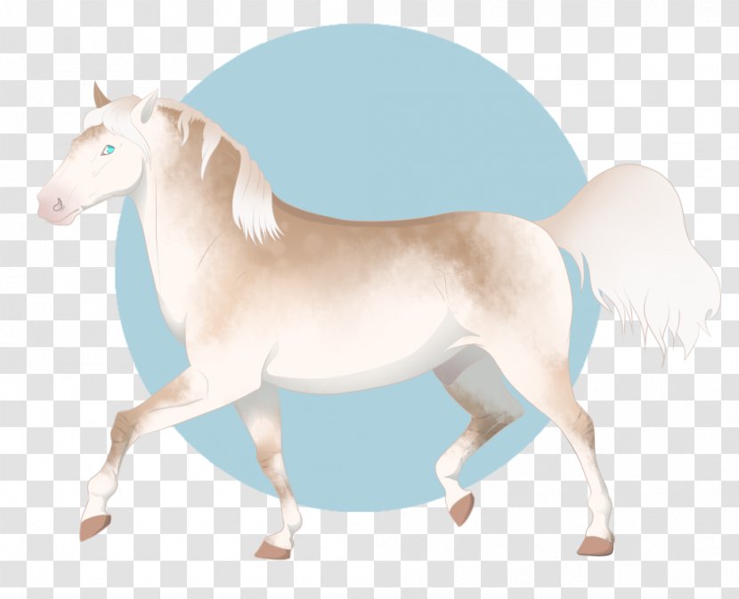 Mane Mustang Stallion Pony Mare - Horse Supplies Transparent PNG