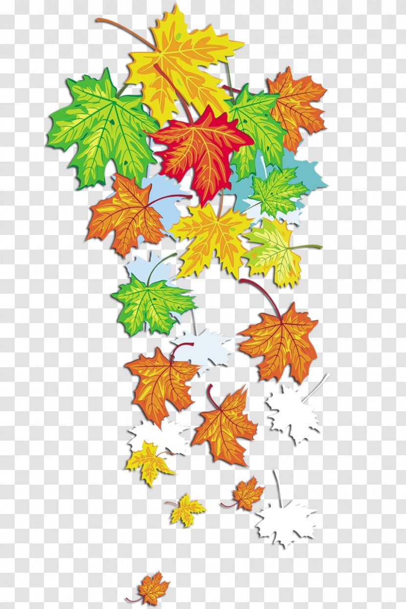 Golden Autumn Season Leaf Summer - Cartoon - Leaves Clipart Transparent PNG