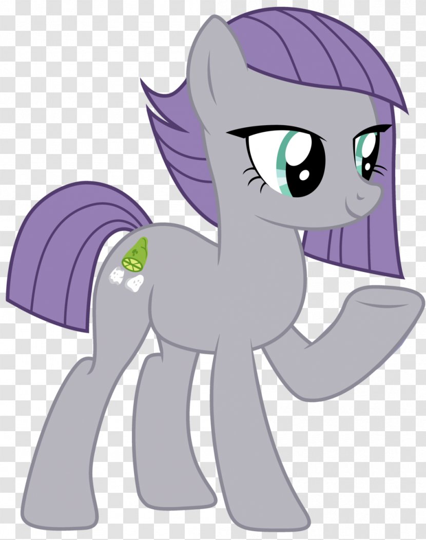 Pony Horse Instagram Transparent PNG