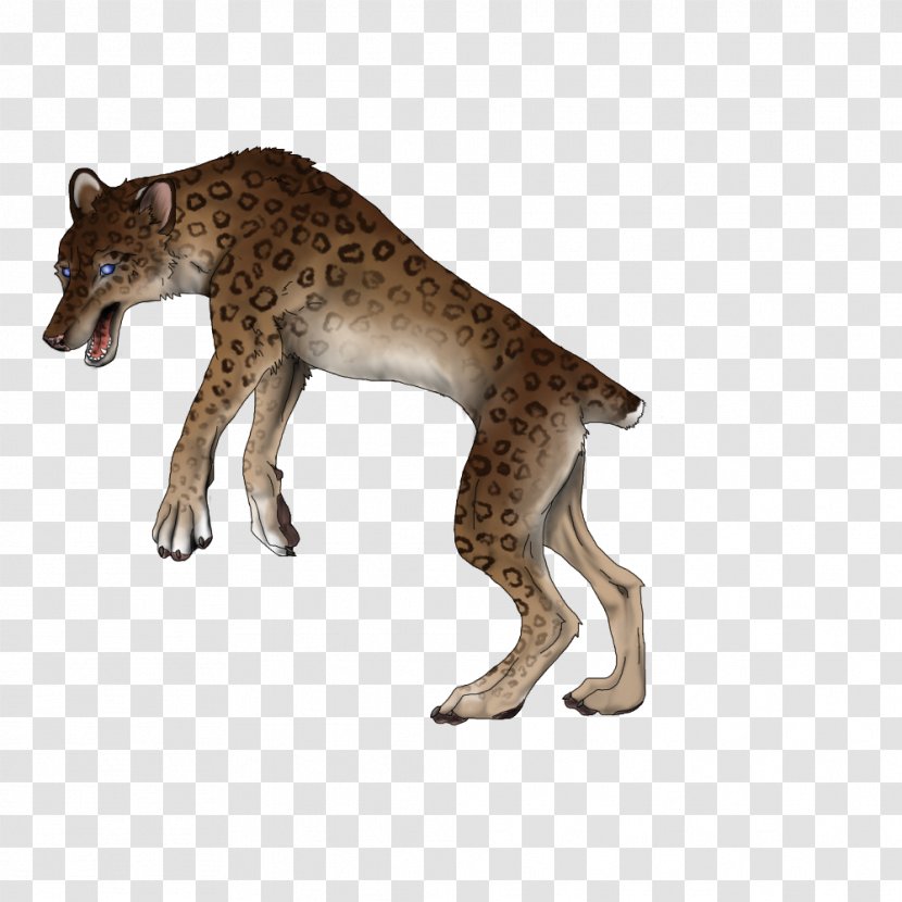 Cat Cheetah Mammal Animal Carnivora - Big - Fitra Transparent PNG