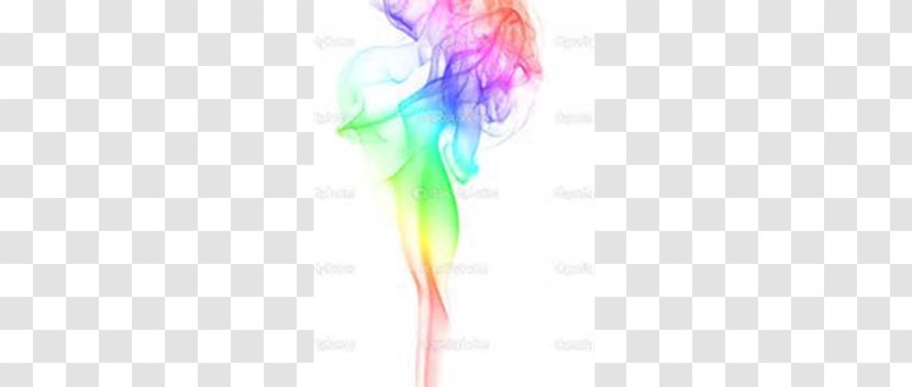 Rainbow Color Light Royalty-free - Silhouette Transparent PNG
