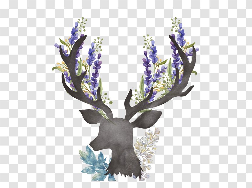 Reindeer Pxe8re Davids Deer Illustration - Antler Transparent PNG