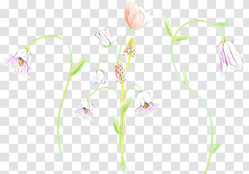 Pedicel Flower Plant Pink Stem - Wildflower Alismatales Transparent PNG