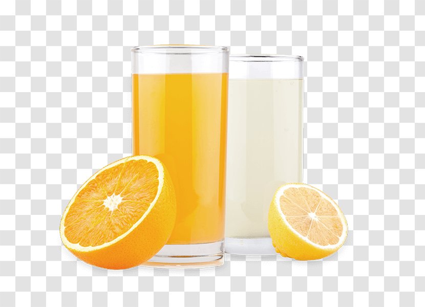 Orange Juice Fizzy Drinks Mojito Drink - Lemon Lime - Limon Transparent PNG