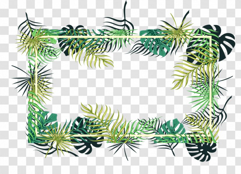 Family Tree Background - Pine - Clubmoss Yellow Fir Transparent PNG