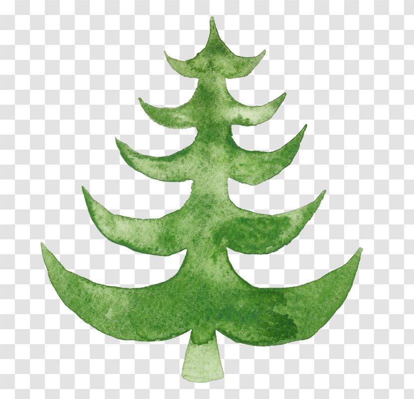 Christmas Tree Watercolor Painting Illustration Day - Pine Family Transparent PNG
