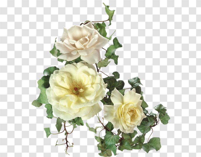 Garden Roses Clip Art - Artificial Flower - Rose Transparent PNG