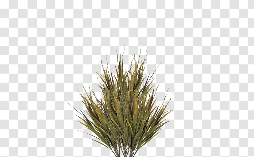 Grasses Image File Formats Clip Art - Twig - Grass Transparent PNG