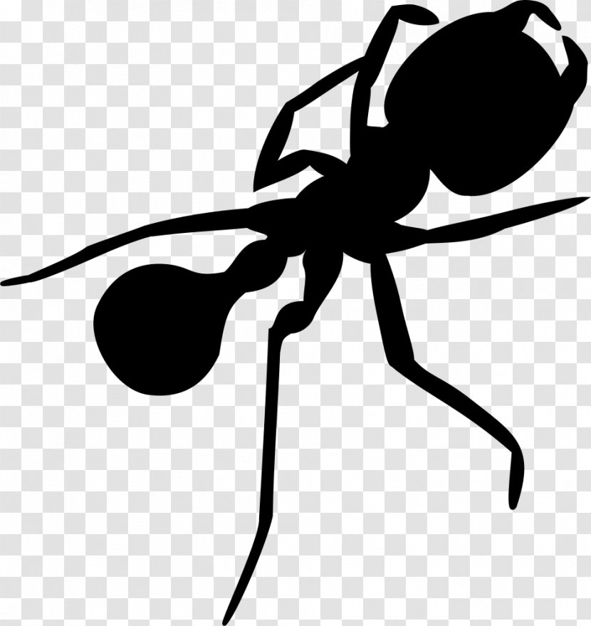 Ant Insect Silhouette Clip Art - Fly Transparent PNG