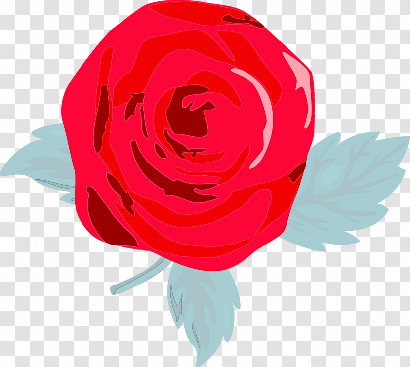 Garden Roses Transparent PNG