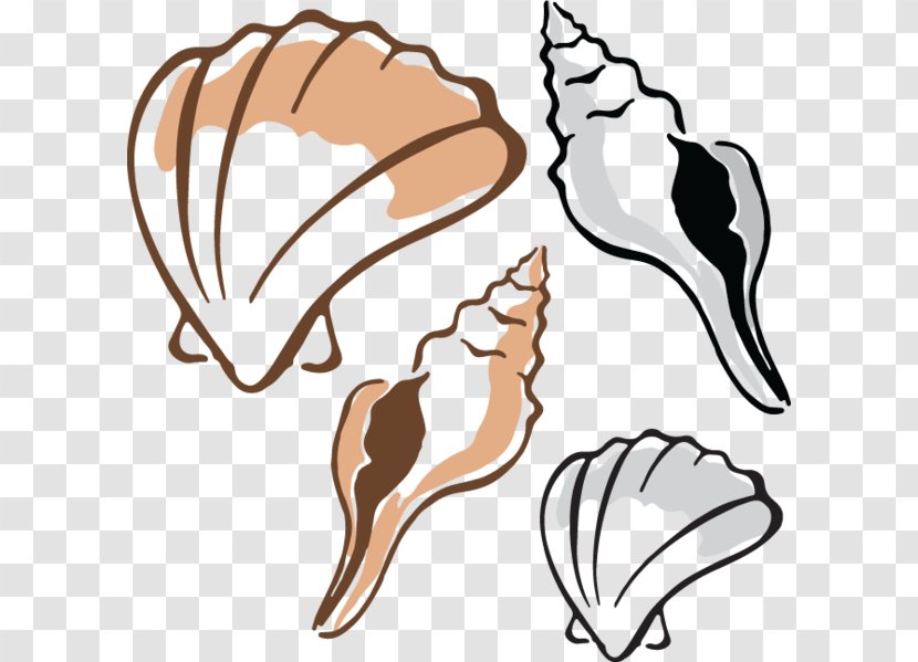 Clam Mussel Oyster Seashell Clip Art - Beak Transparent PNG