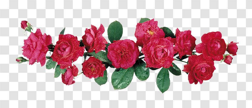 Animaatio Rose Blog - Giphy - World Wide Web Transparent PNG