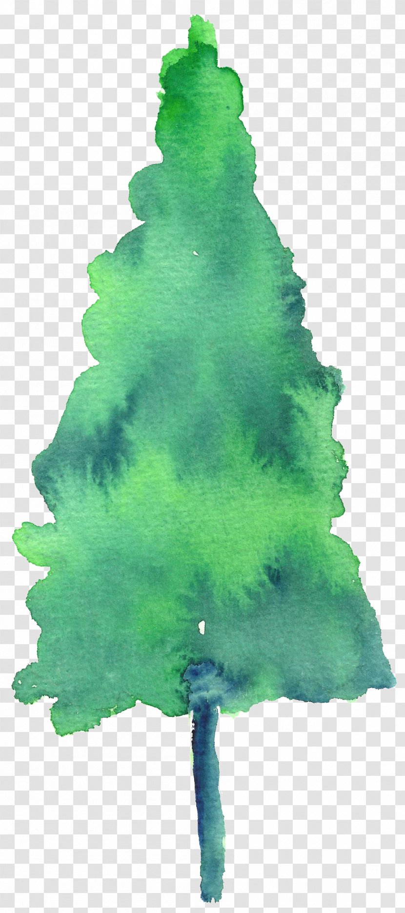 Christmas Tree Day Watercolor Painting Spruce Pine - Drawing Transparent PNG