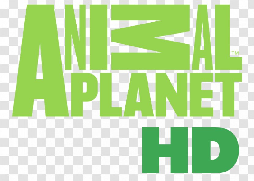 High-definition Television Animal Planet HD Channel - Discovery World Transparent PNG