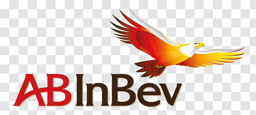 Anheuser-Busch InBev Logo Beer - Brand Transparent PNG