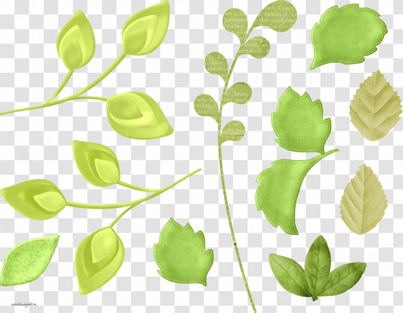 Leaf Clip Art - Tree Transparent PNG