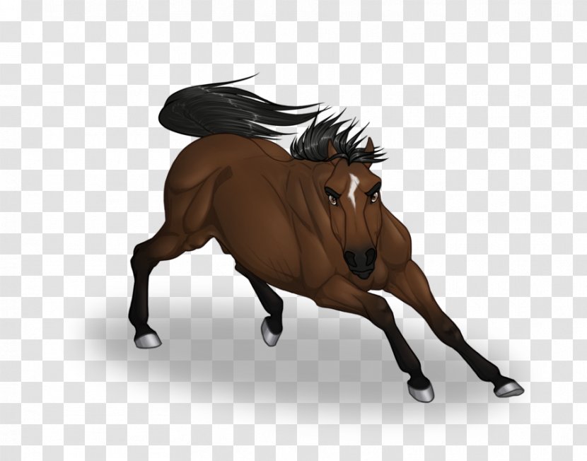 Mustang Stallion Pony Rein Bridle - Horse Like Mammal - Cowboy Face Transparent PNG