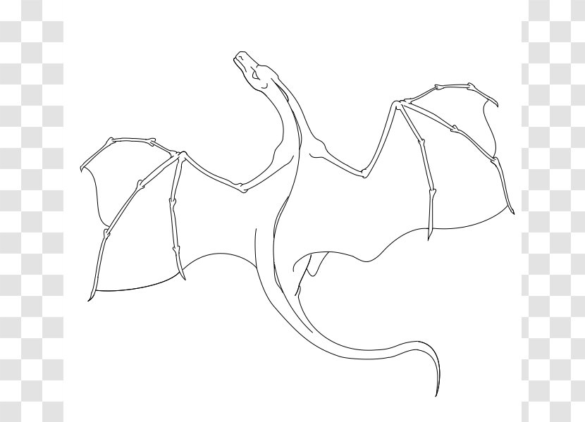Drawing Dragon Line Art Sketch - Silhouette - How To Draw A Flying Transparent PNG