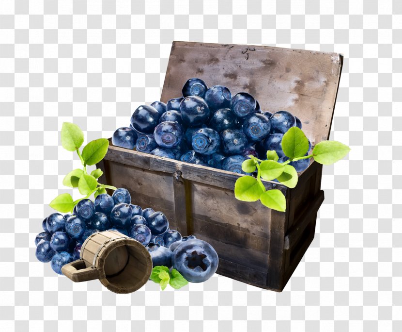 Grape Blueberry Bilberry Clip Art - Vitis Transparent PNG