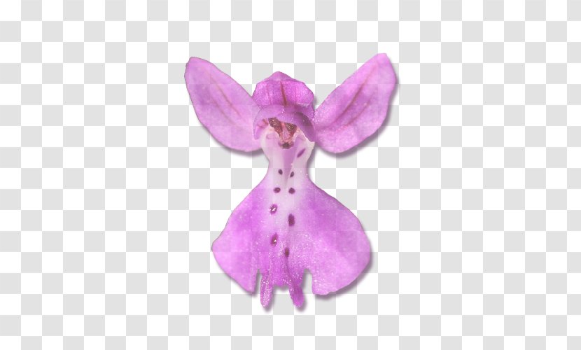 Moth Orchids Pink M Stuffed Animals & Cuddly Toys - Plant - Violet Transparent PNG