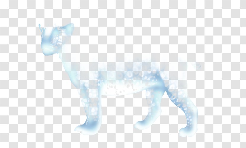 Cat Dog Canidae Tail Wildlife - Organism Transparent PNG