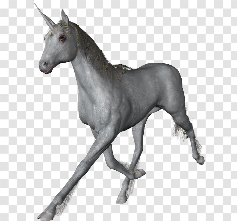 Unicorn PhotoScape Icon - Mustang Horse Transparent PNG