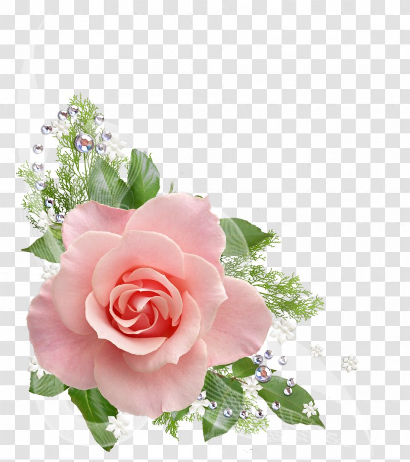 Rose Flower Pink Clip Art - Arranging - Watercolor Transparent PNG