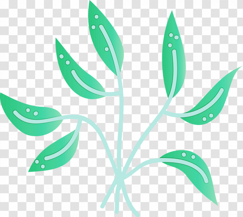 Leaf Plant Stem Flower Meter Plants Transparent PNG