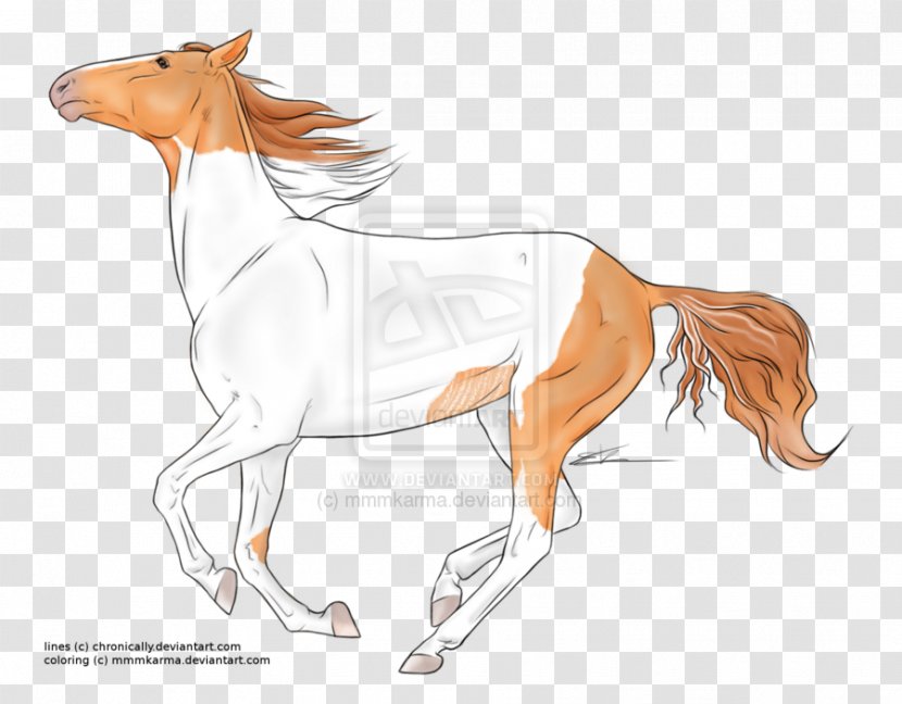 Foal Stallion Pony Colt Mustang - Fictional Character Transparent PNG