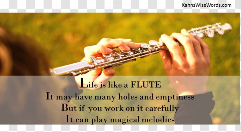 Flute Woodwind Instrument Musician Musical Instruments - Tree Transparent PNG