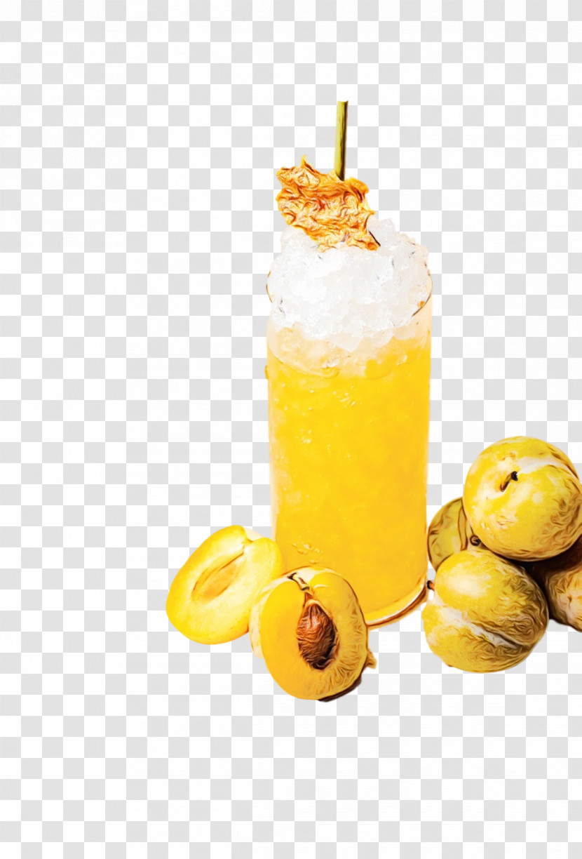 Cocktail Garnish Harvey Wallbanger Juice Flavor Fruit Transparent PNG