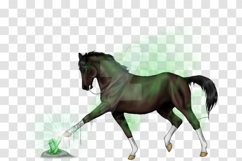 Stallion Mustang Foal Mare Rein - Bridle Transparent PNG