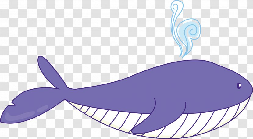 Whale Euclidean Vector Drawing - Organism - Cartoon Transparent PNG