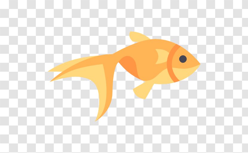 Goldfish Animal - Marine Biology Transparent PNG