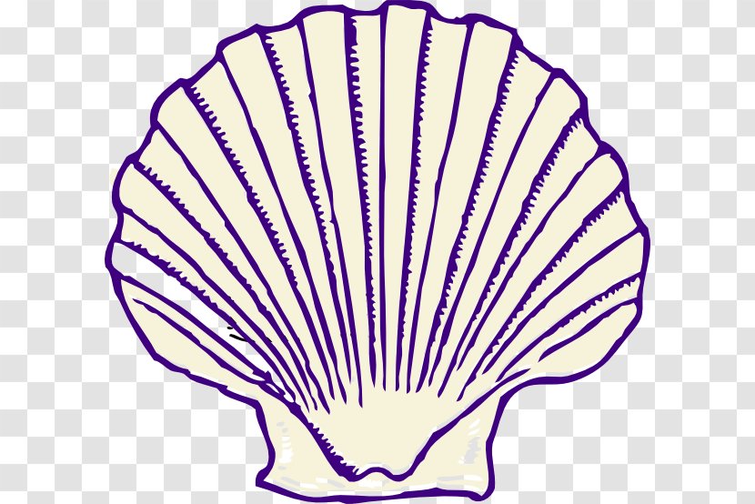 Seashell Clip Art - Fossil - Purple Note Transparent PNG