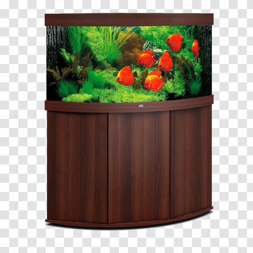 Aquarium Filters Lighting Heater Discus - Flowerpot - Trigon Transparent PNG